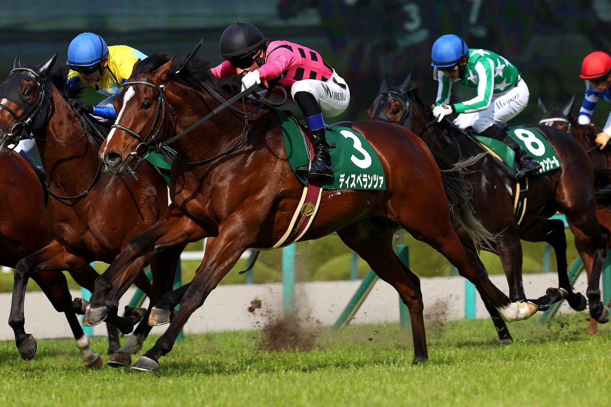 祖母はPromising Lead(愛G1プリティポリーS)、兄はファントムシーフ(共同通信杯)。期待馬が頭角を現した