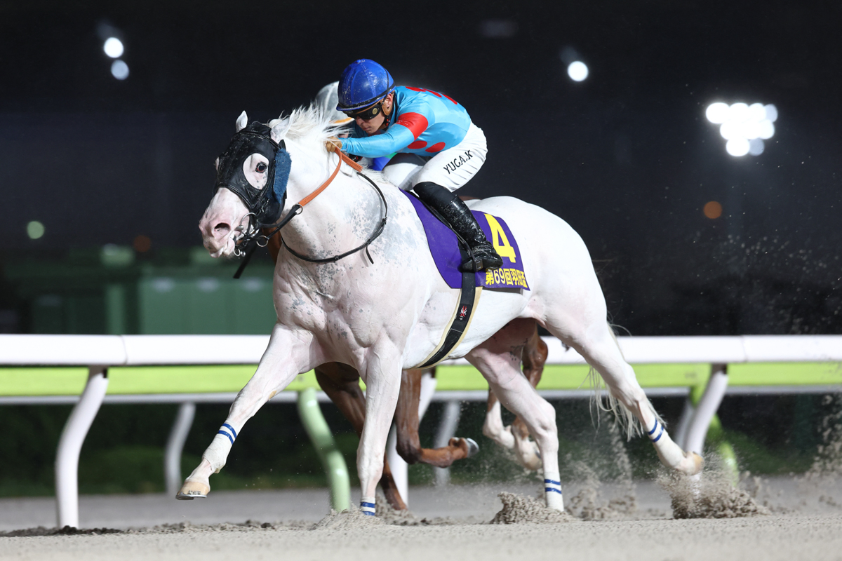 雲取賞２着で優先出走権を獲得したアマンテビアンコが力強く抜け出し、ダート三冠レース第一関門を突破した