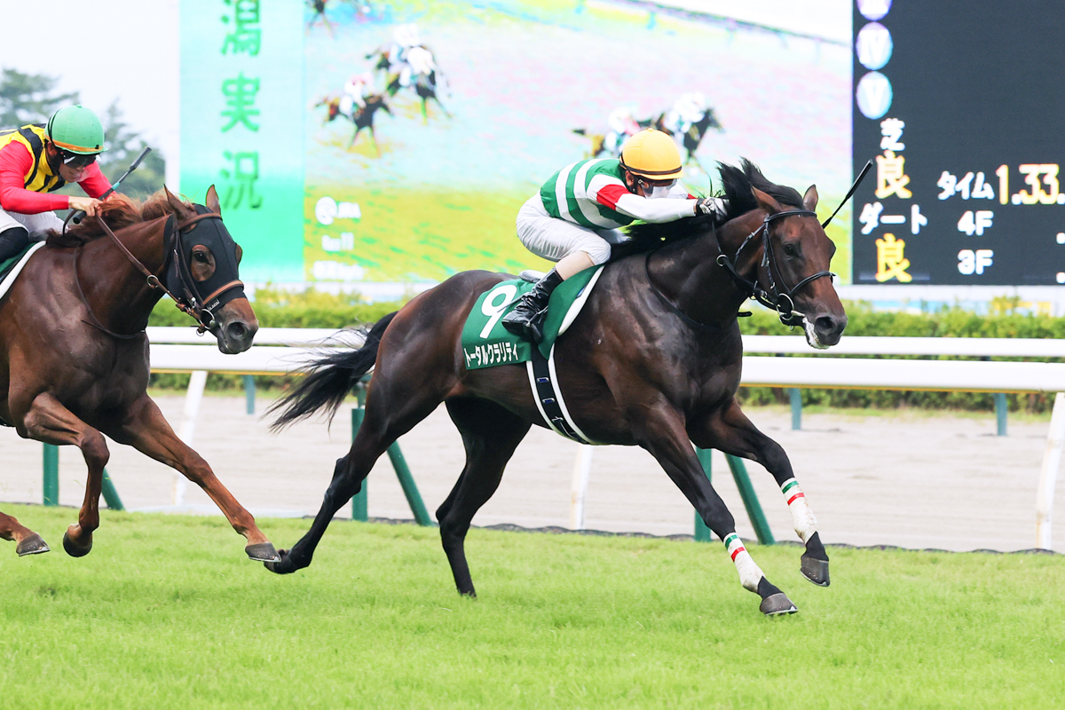 1番人気のコートアリシアンに競り勝ったトータルクラリティ。京都デビュー馬が新潟2歳Sを制したのは史上初めて