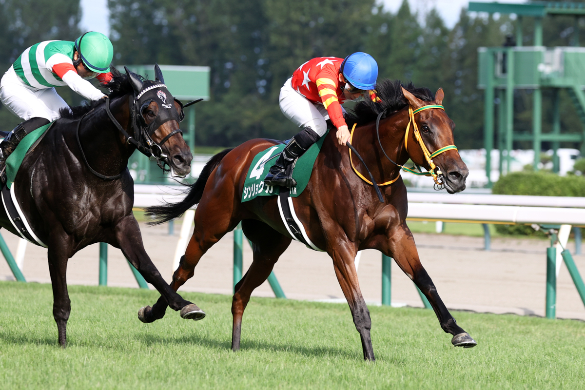 シンリョクカが2番手から早めに抜け出し、馬群を縫って迫るセレシオンをハナ差抑えた