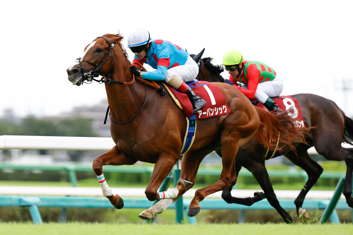 日本ダービー11着以来4カ月ぶりの実戦だったが、皐月賞2着馬コスモキュランダを並ぶ間もなく差し切った