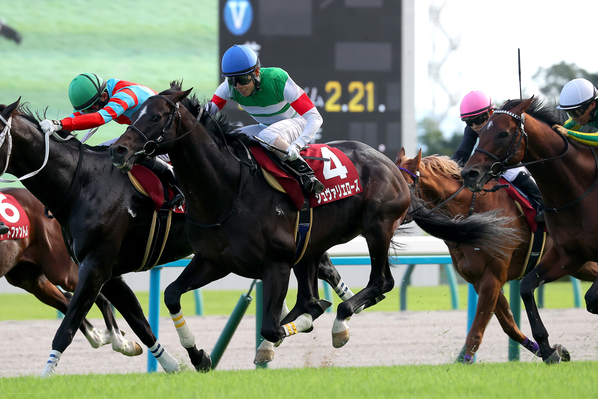 2200m以上のレースを使い出すと4着、3着、2着と成績が安定。実力馬ディープボンドにもアタマ差競り勝った