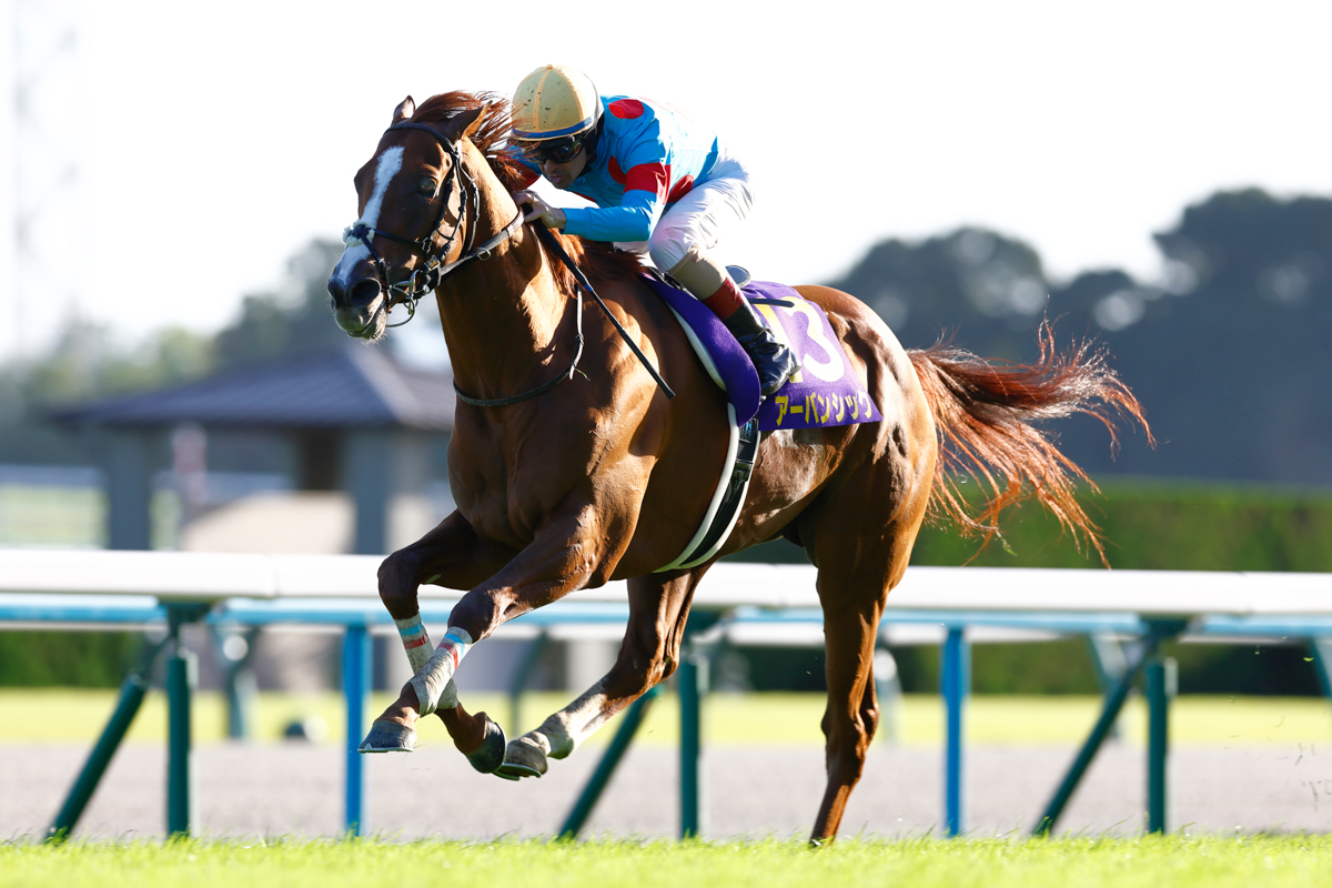 14番手から徐々に進出したアーバンシック。2着ヘデントールに2馬身半差を付けた