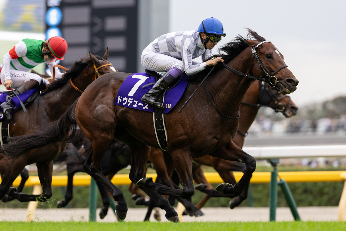最後の直線で大外に持ち出すと桁違いの末脚で追い込み、タスティエーラに1馬身1/4差を付けた