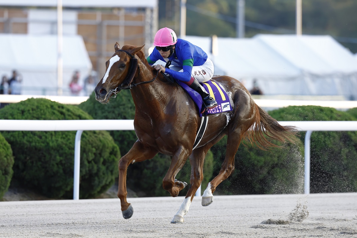 スタート直後のハナ争いを制したアンモシエラが、逃げ切りでJpnⅠ初勝利