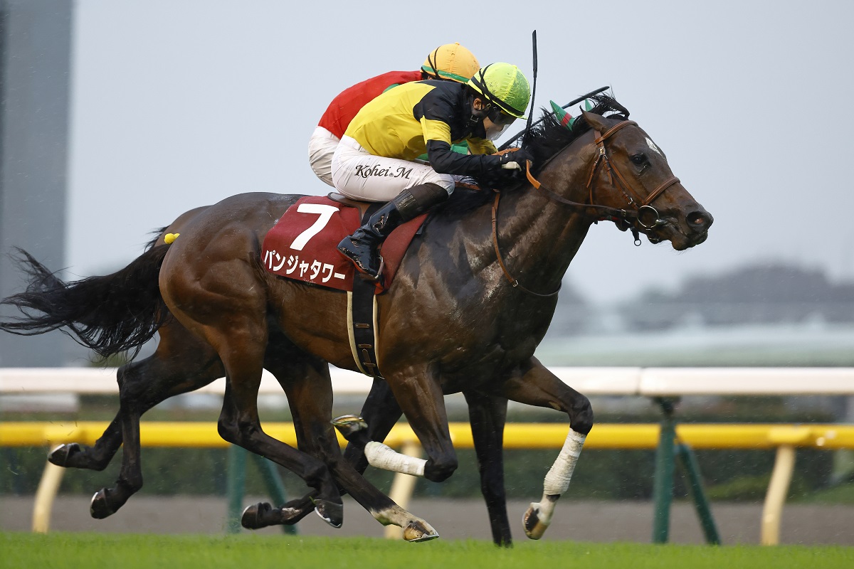 パンジャタワーが新馬戦から連勝。タワーオブロンドン産駒として初の重賞制覇