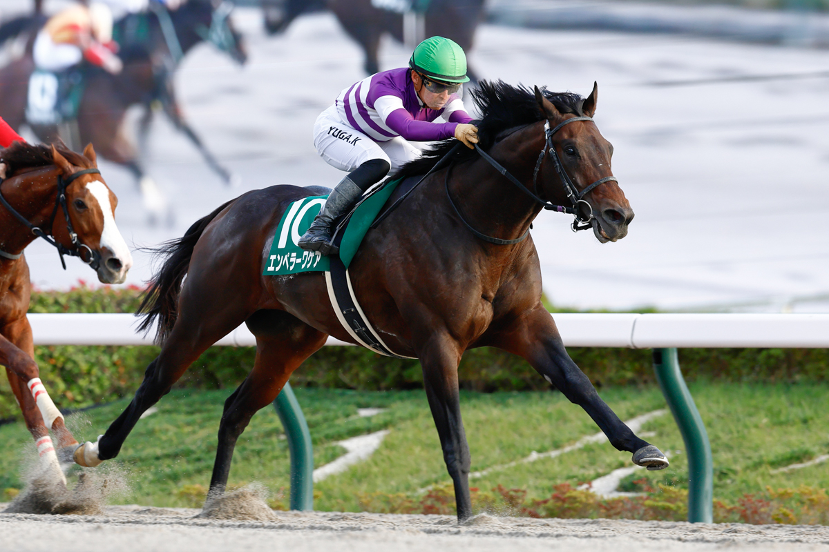 ダートの通算成績は9戦7勝2着2回。フェブラリーSの最有力候補の1頭に躍り出た