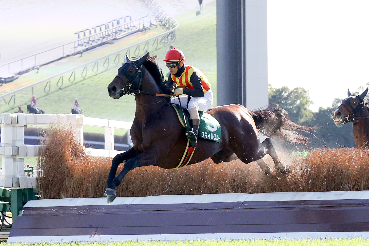 最終障害を越えて後続を8馬身引き離したスマイルスルー。障害界の主役候補が誕生した