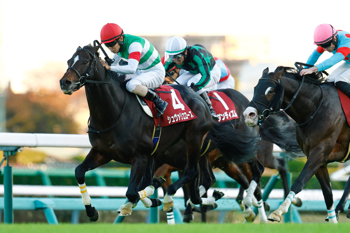 シルブロンの追撃をハナ差抑えて、シュヴァリエローズが京都大賞典に続き重賞2勝目