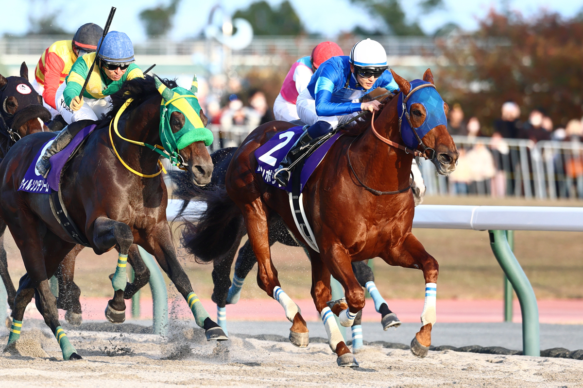 レモンポップが前年同様先手を奪い、前年2着馬ウィルソンテソーロの猛追をハナ差退けた