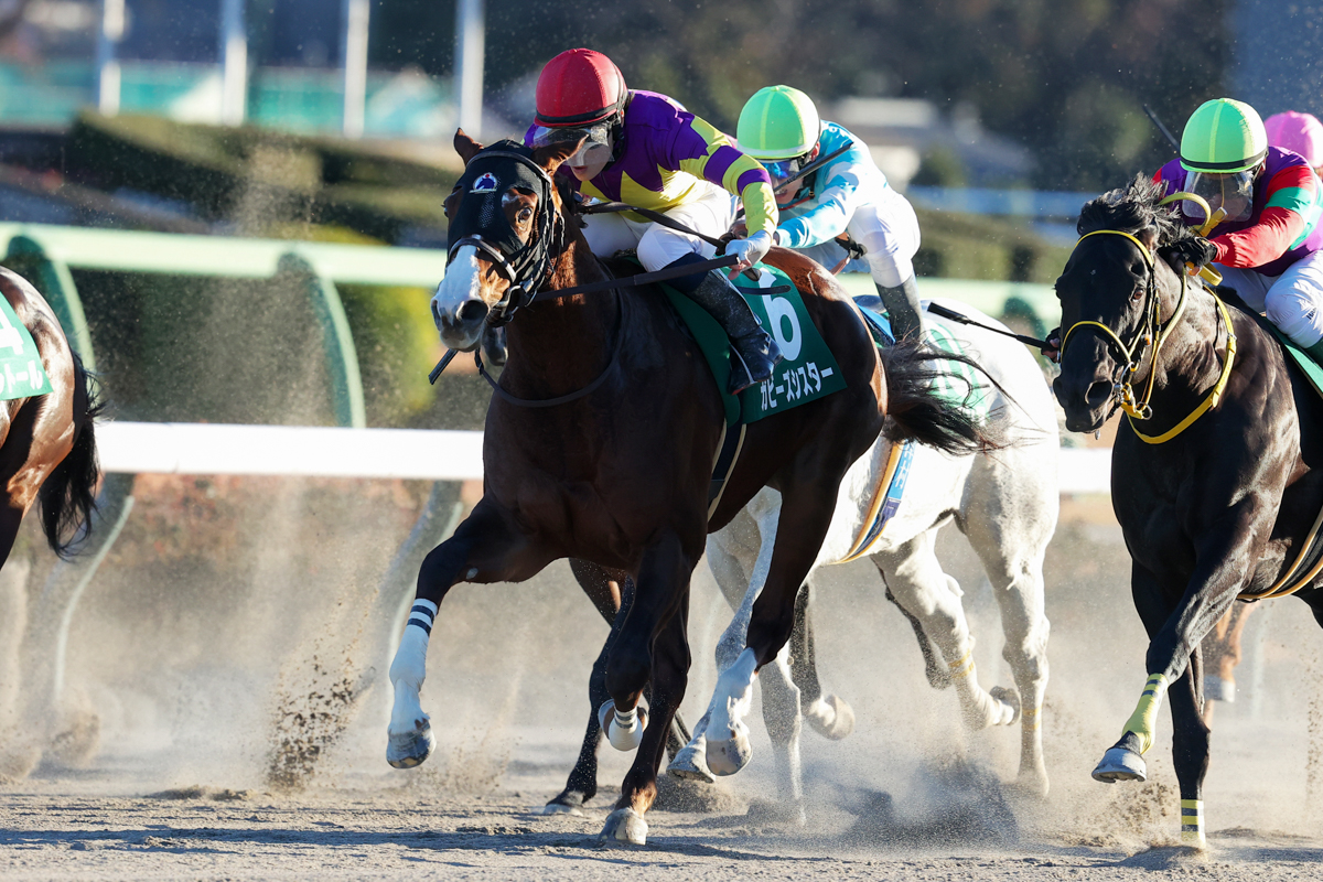 5代母キタノリユウが牝馬二冠馬テスコガビーの母。この牝系ではエンゼルカロ(1999年函館3歳S)以来の重賞勝ち馬