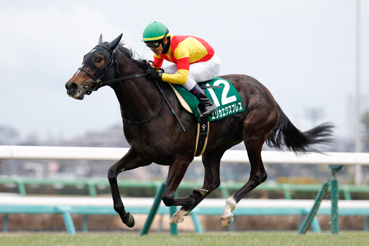 2011年にダンスファンタジアが記録した1分33秒7を0秒9上回る好タイムで、後続を3馬身引き離した
