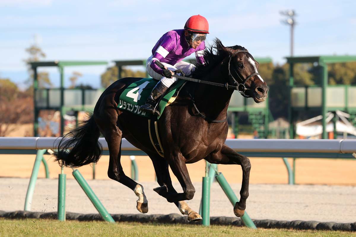 父はキズナ、母デルフィニアⅡは英仏のG1・2着、祖母アゲインは愛1000ギニー馬。クラシックが非常に楽しみだ