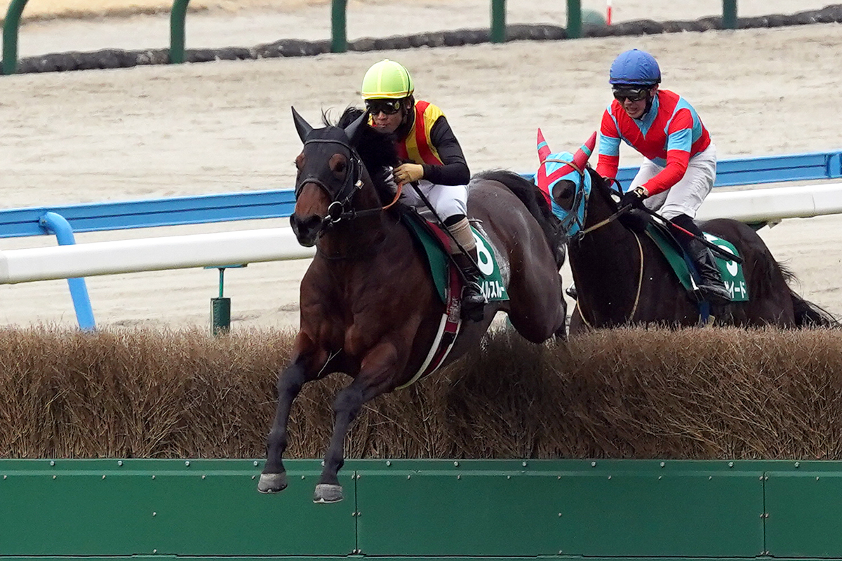 安定した飛越で軽快に逃げたスマイルスルーが、未勝利戦からの連勝を「4」に伸ばした