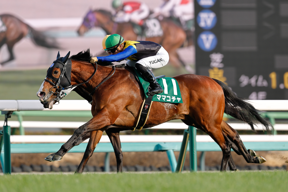 スプリンターズS勝ち馬ママコチャが1年5カ月ぶりの勝利(第20回