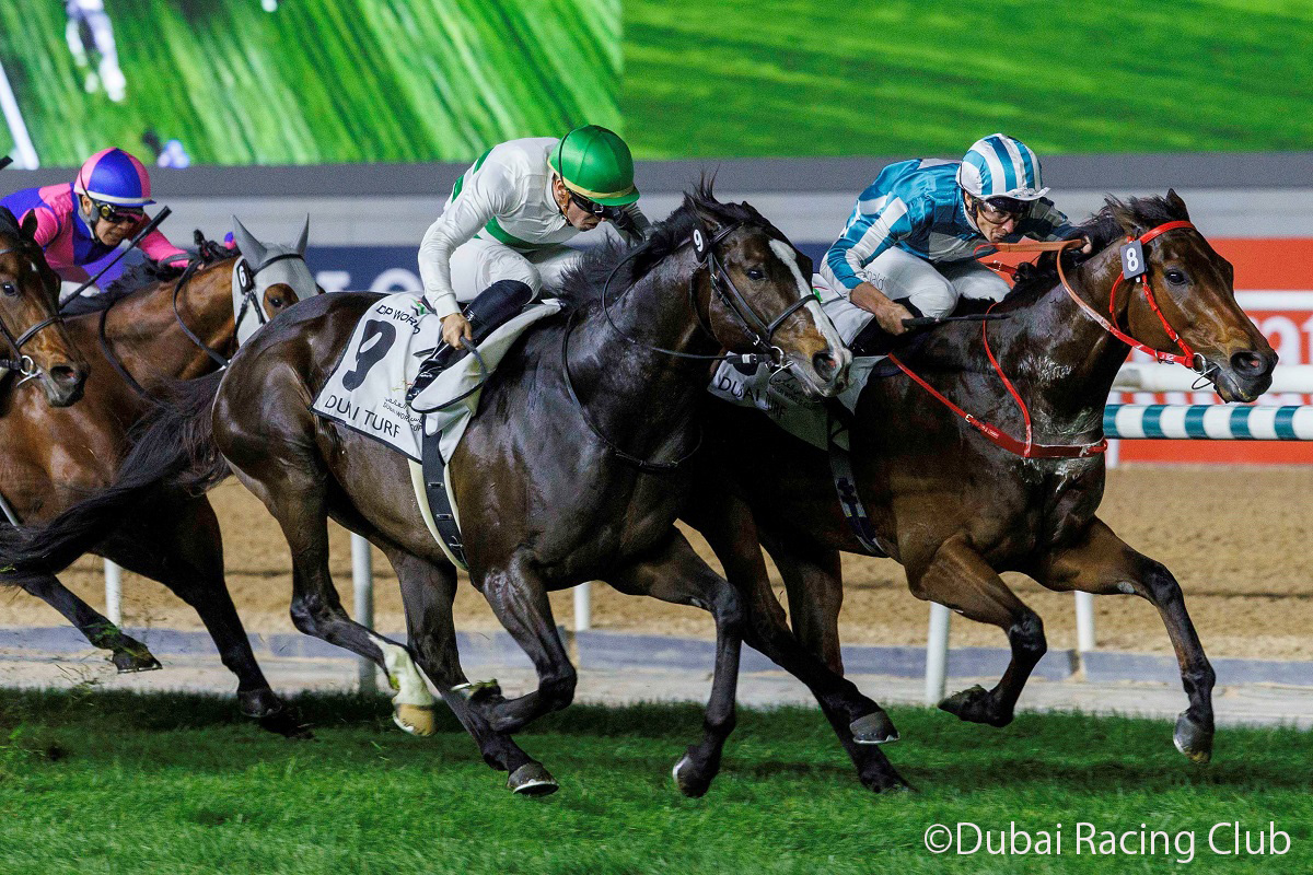 先に抜け出した香港のロマンチックウォリアーを、5番手から進んだソウルラッシュが僅かにとらえた