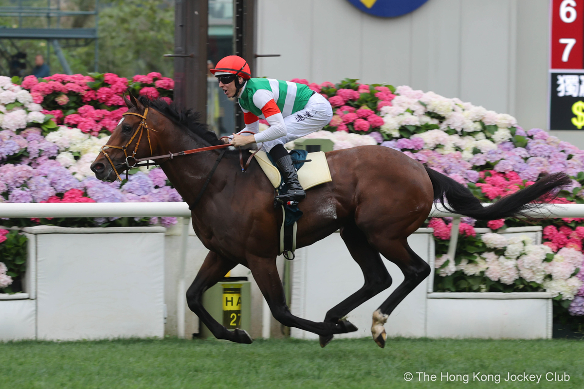 香港ヴァーズ勝ち馬の父サトノクラウンに続き、香港で海外Ｇ１初制覇を成し遂げたタスティエーラ