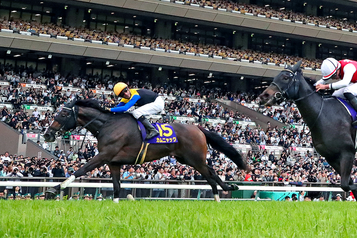 父ブラックタイド、母の父サクラバクシンオー。キタサンブラックと同じ配合により再びクラシック馬が誕生した