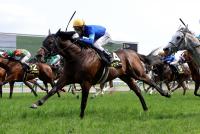 ラケマーダ
