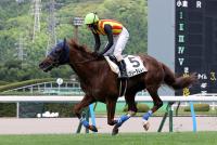 フリーダムレイン