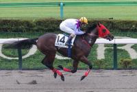 メリディアンスター