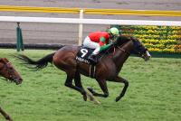 マイネルオーシャン