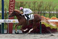 ゴールデンスラム