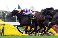 オーロラエックス