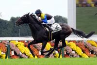 ネブラディスク