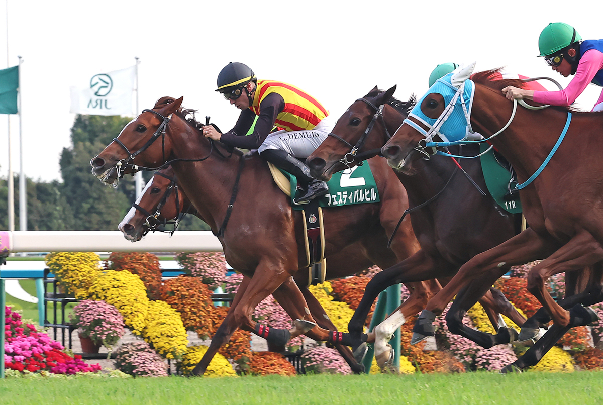 兄は皐月賞馬ミュージアムマイル。クラシック戦線での活躍が楽しみになる鋭い末脚を披露した