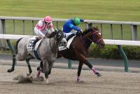 ロングウェイホーム