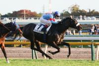 ベストミーエヴァー