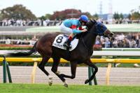 モートンアイランド