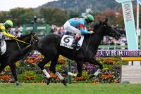 タッセルノット