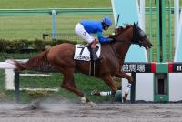 アンクエンチャブル