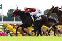 トモジャプレジール