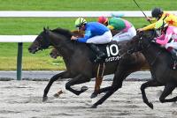 パイロマンサー