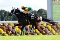 エコロディノス