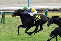 エアファンディタ