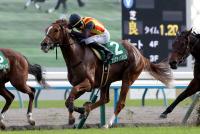 <strong>フェスティバルヒル</strong>