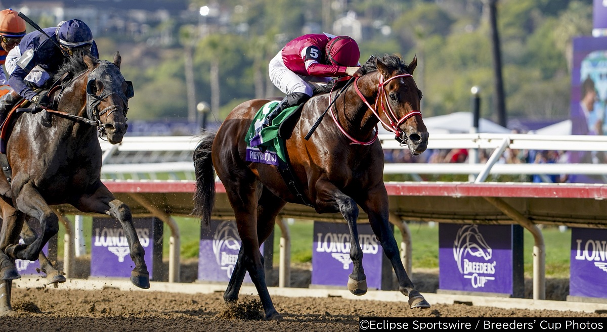 いとこに当たるシエラレオーネを半馬身差退け、前年の雪辱を果たしたフォーエバーヤング