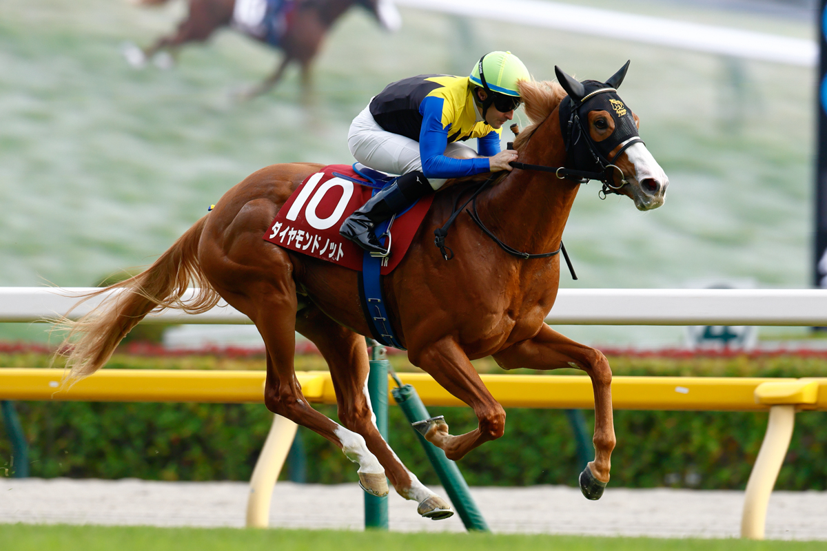 母の弟は日本ダービー馬マカヒキ。クラシック戦線でも注目を集める素質馬だ