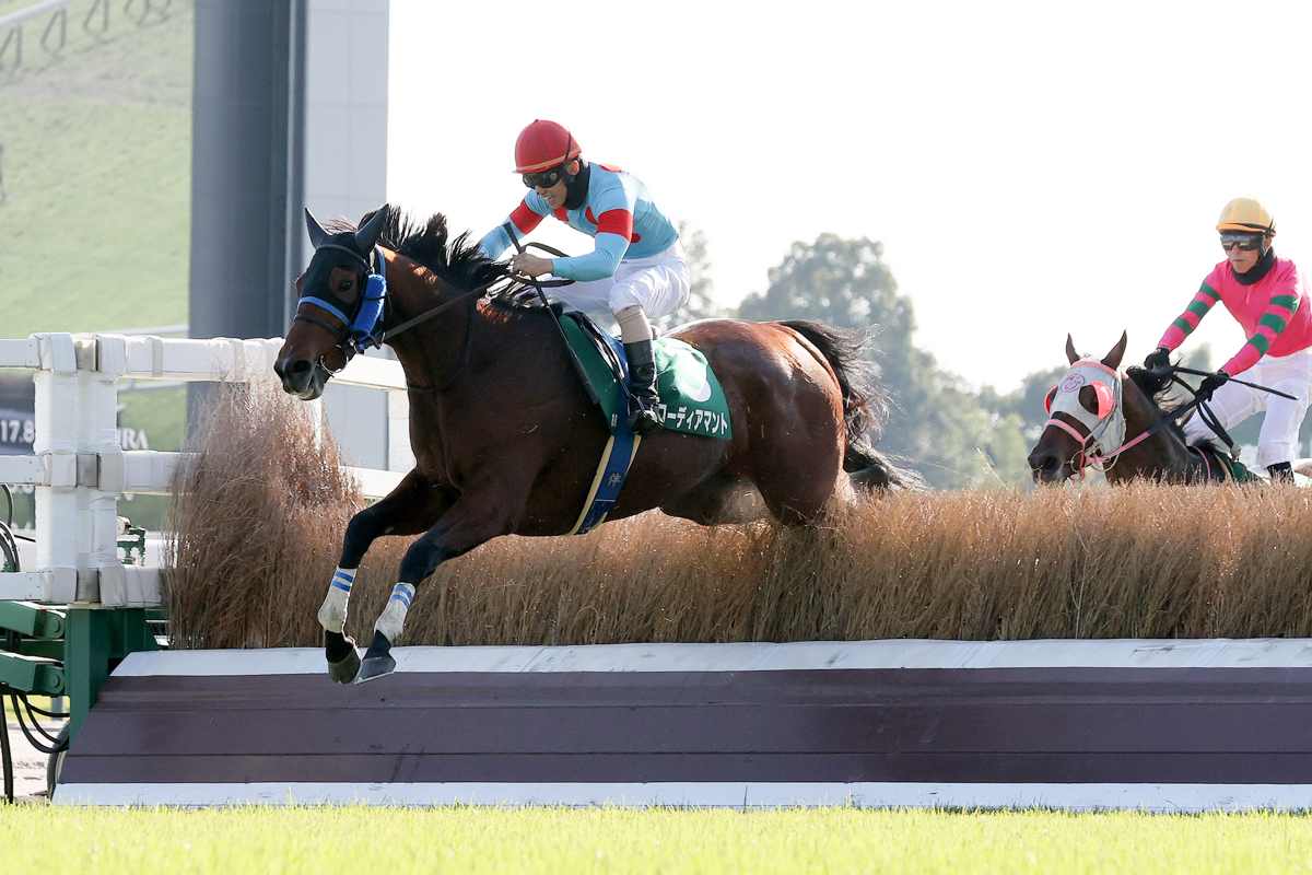 最終障害を先頭で飛越するローディアマント。伴啓太騎手に重賞初勝利をプレゼントした