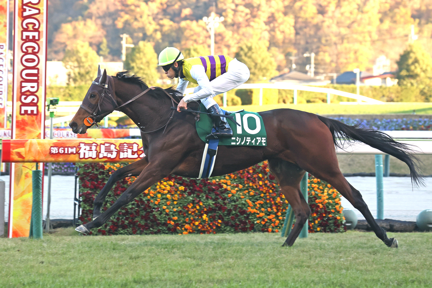最後の直線で２番手から満を持して先頭に立ったニシノティアモが、２着エコロヴァルツに１馬身1/４差を付けた