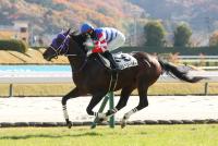 マルベリーシチー