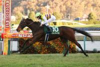 <strong>ニシノティアモ</strong>