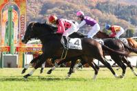 エンデュミオン