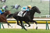 ノーブルサヴェージ