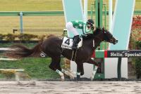 タイキインドラ