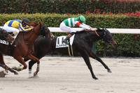 カーラデマドレ